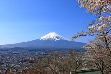 View of Mt. Fuji with cherry blossom (sakura ) in spring from  Arakurayama Sengen Park, in Fujiyoshida, Japan