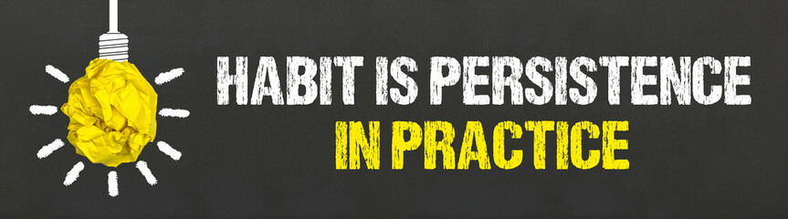 habit is persistence in practice	