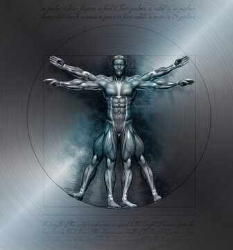 Muscles of a vitruvian man for study