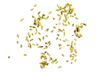 Falling Cardamom isolated on white background, clipping path, full depth of field