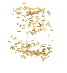 Obraz na płótnie Canvas Pumpkin Seeds Falling in Free Motion Bulk. isolated Over White Background. Zero gravity food concept