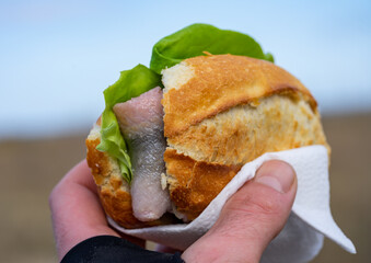 hand holding a Fish rolls with herring fillet