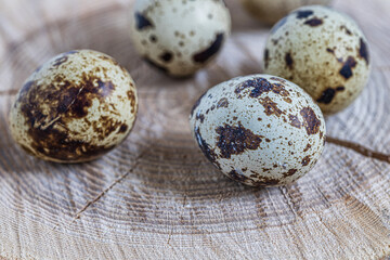 Fototapeta premium Easter quail eggs. Spring background with small easter quail eggs. Vintage photo processin