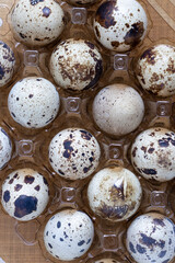 Easter quail eggs.  Spring background with small easter quail eggs. Vintage photo processing