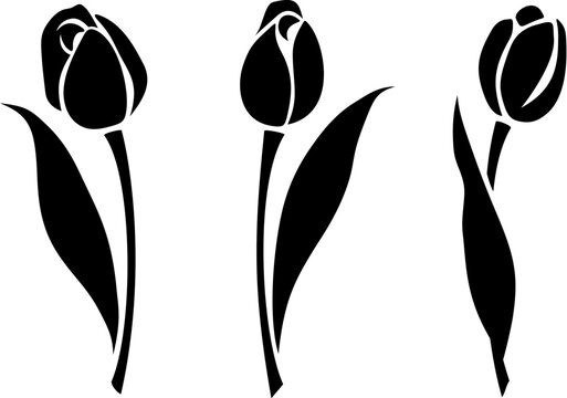 Tulip flowers. Set of black silhouettes of tulips isolated on a white background. Vector illustration