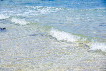 背景　砂浜と海の水面