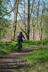 Cyclist bicycling along a path between trees
