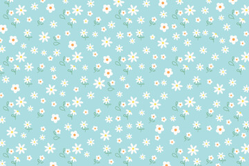 Daisy flower pattern on mint green background for wallpaper, backdrop, post card, spring, summer floral print, fabric, clothing pattern, nature, garden, picnic blanket, duvet, phone case, kid dress