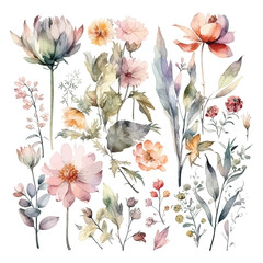 Set of watercolor flowers leaves and twigs on a white background