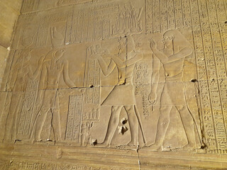Fototapeta na wymiar Hieroglyphs - Temple of Horus - Edfu - Egypt - Egyptian Civilization
