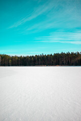 winter landscape with snow