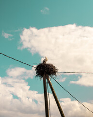 rope on a blue sky, stark
