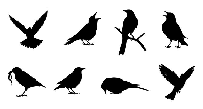 set of bird silhouettes in various poses