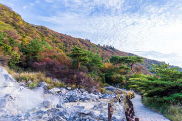 秋晴れの紅葉に映える温泉の噴気に包まれた風景
Scenery wrapped in fumaroles of...