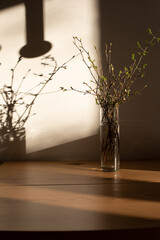 Tree branches with young green leaves in a transparent vase with shadows on a wooden table. Front view