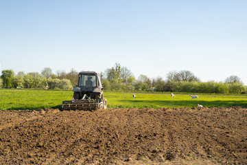 The tractor drives across the field and cultivates the land. Agricultural vehicle works in...