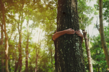 Child hug the trunk tree with green musk in tropical woods forest. Green natural background. Concept of people love nature and protect from deforestation or pollution or climate change