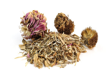 Dried zinnia flower head on white background. Collecting seeds for propagation. Zinnia elegans Dahlienflora flower seeds. collecting seeds from flowers in the garden in autumn