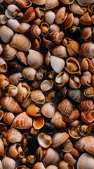 AI generated Seashells background. Top view of seashells
