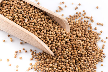 Coriander seeds in wooden scoop