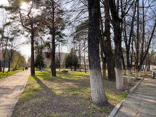 early spring walk in the city square