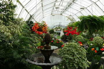 Fototapeta na wymiar Gewächshaus im Botanischen Garten in Christchurch
