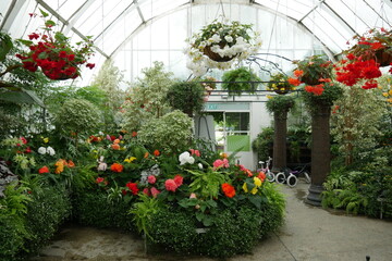 Blumen im Gewächshaus Botanischer Garten Christchurch