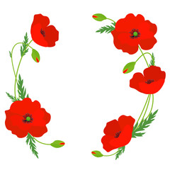 A bouquet of poppies in the form of a round frame. Round frame with flowers isolated on a white background.