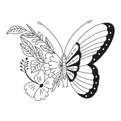 Butterfly Drawing Design