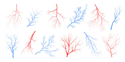 Human eye blood veins vessels silhouettes vector illustration set isolated on white background. Red and blue eyeballs veins anatomical collection of human blood vessel artery health system.