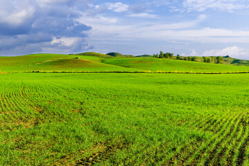 Fototapeta na wymiar landscape with green grass , country field and beautiful hills and blue sky with clouds