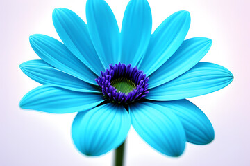 blue flower lonely on white background