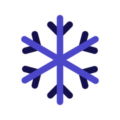 snowflake bicolor icon