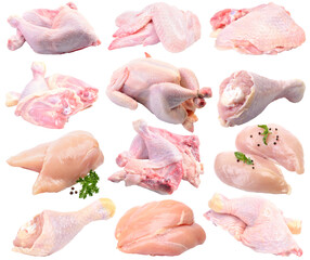 Collection chicken meat isolated