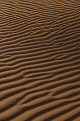 sand dunes in the desert