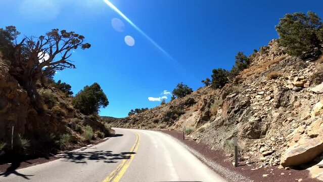 Hwy 168 22 Patriarch Grove Driving POV California
