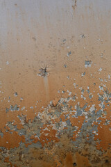 Rusted steel plate. Abandoned house, ruins. Metal. Background material. Stone, rock, etc…
