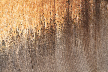 Brown wood texture. Abstract background. - classic, traditional, elegant, sophisticated, luxurious, refined. Asian or Japanese traditional architecture.