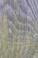 Brown wood texture. Abstract background. - classic, traditional, elegant, sophisticated, luxurious, refined. Asian or Japanese traditional architecture.