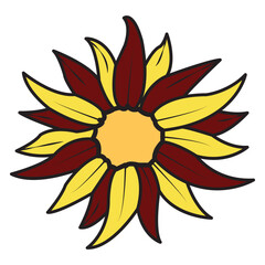 Flower Drawing Design