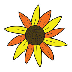 Flower Drawing Design