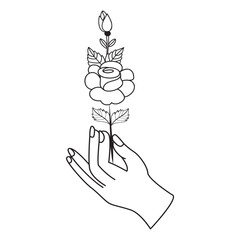 Flower Drawing Design