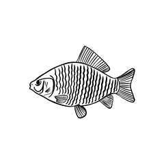 Vector sketch hand drawn fish silhouette, doodle style with black lines