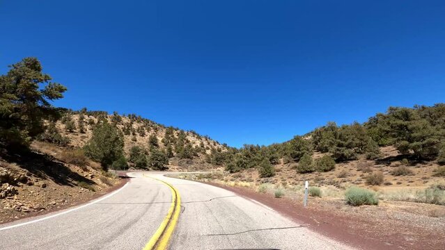 Hwy 168 19 Patriarch Grove Driving POV California