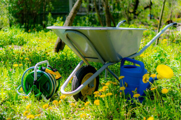 Garden accessories with yellow elements on the green grass with dandelions.