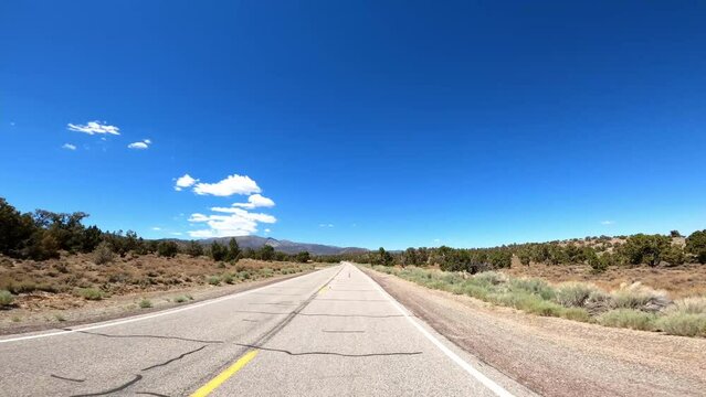 Hwy 168 25 Patriarch Grove Driving POV California