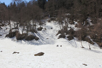 Lago-Naki plateau in spring, Republic of Adygea, Russia