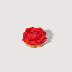 Isolated red rose in ice cream cone on white background. Minimal season flowers concept.