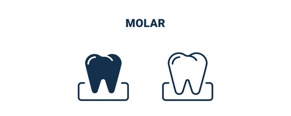 molar icon. Outline and filled molar icon from medical collection. Line and glyph vector isolated on white background. Editable molar symbol