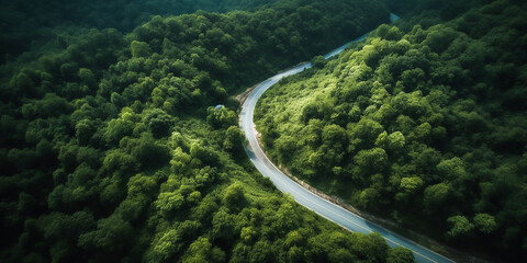 eine Stra&szlig;e durch den Wald KI